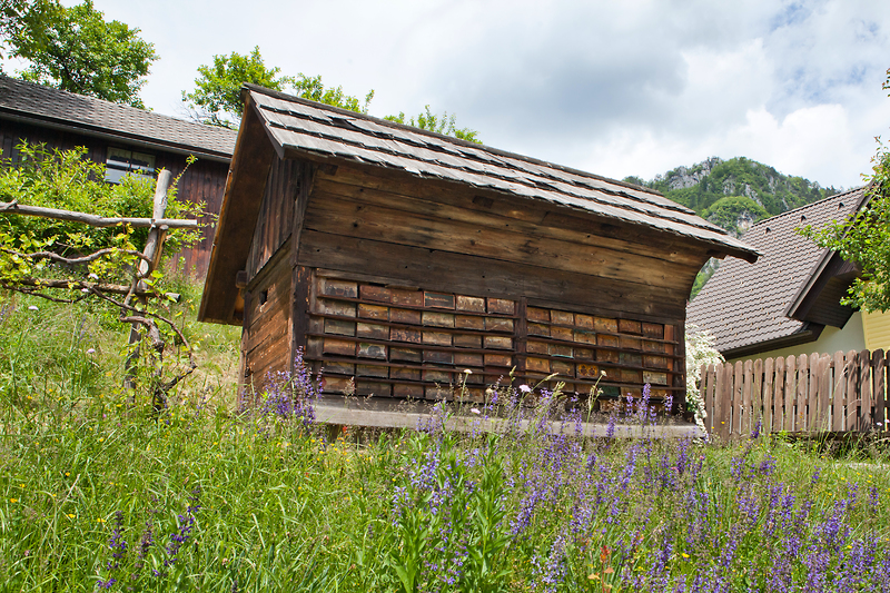 Janšev čebelnjak, foto: Jošt Gantar za slovenia.info